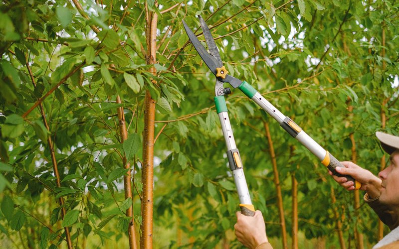 Tree trimming in Seven Valleys, PA